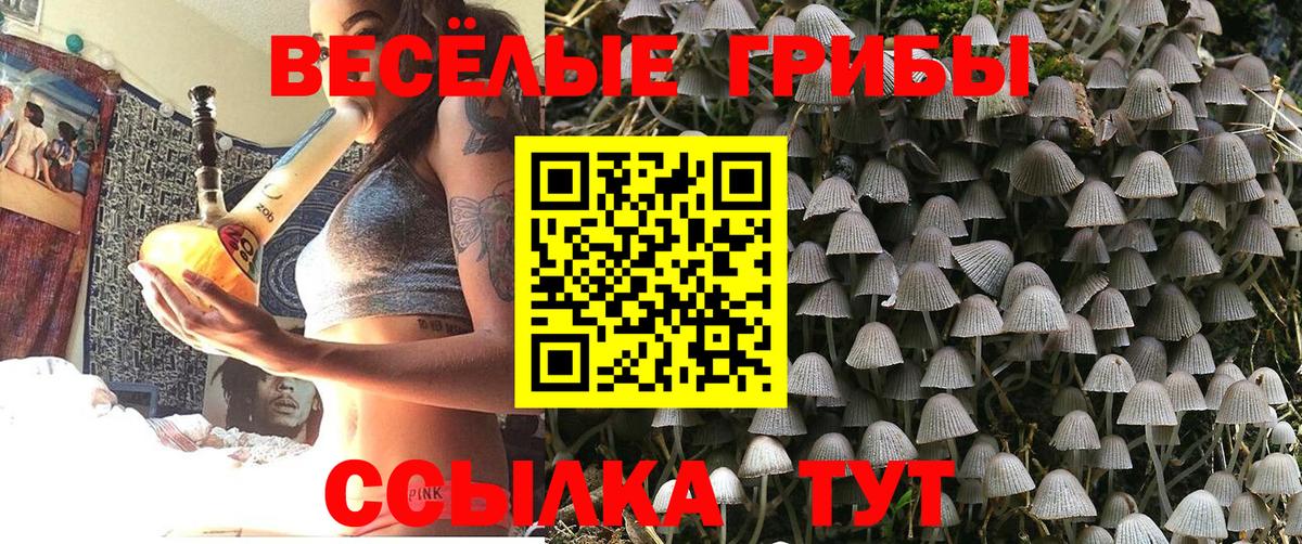 Псилоцибиновые грибы GOLDEN TEACHER Тельмана