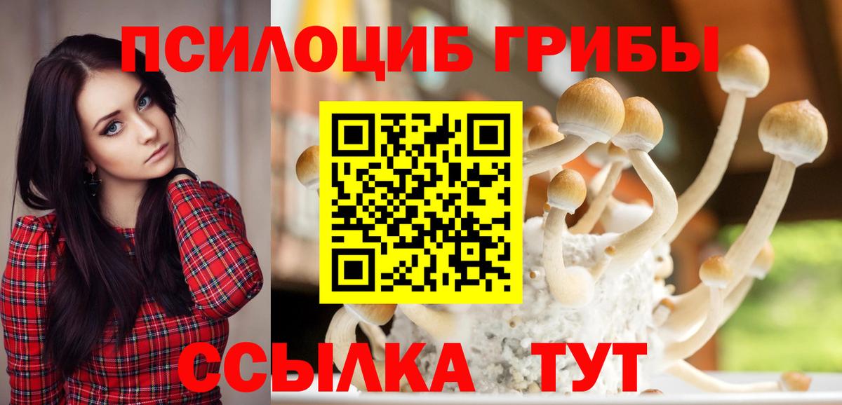 купить наркоту  Галлюциногенные грибы Cubensis  Вход с VPN  Тельмана 